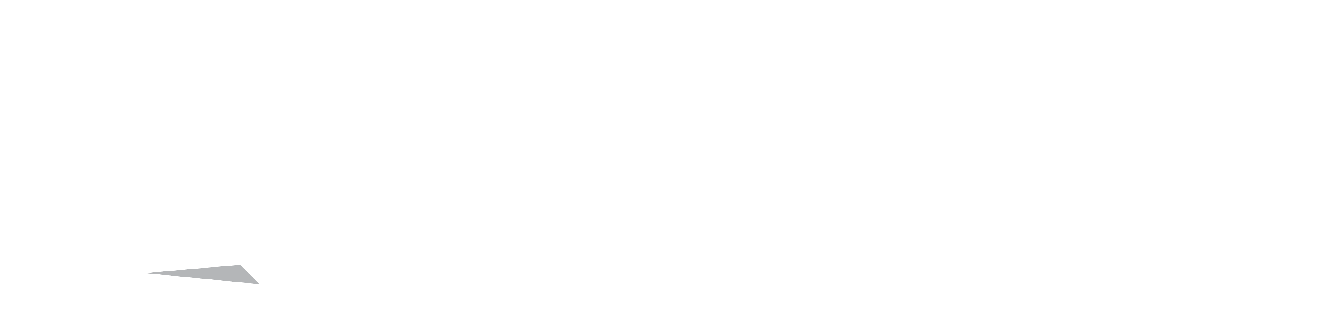 vn logo white with shadow@600x